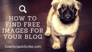 HOW TO FIND FREE IMAGES FOR YOUR BLOG