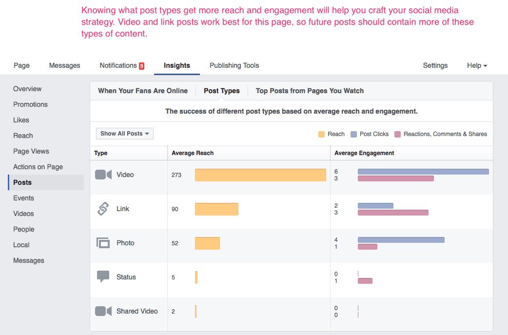 How to Conquer Facebook Insights and Improve Your Strategy 14